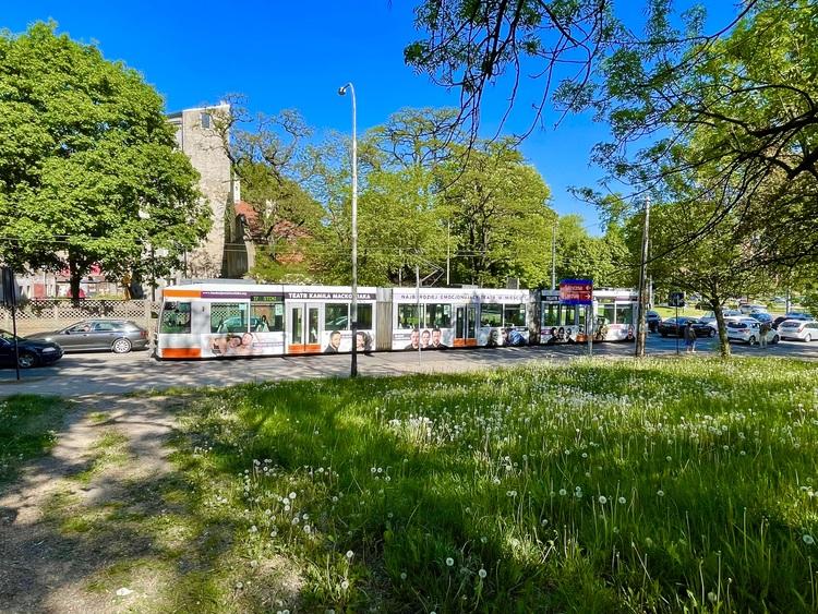 Wakacyjne rozkłady MPK-Łódź już od jutra 1 79991 60f803ef9c7011e211880879cfa67fbd