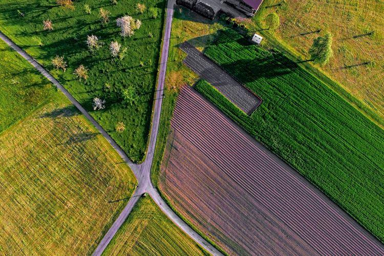 Numer działki - jak go ustalić na mapie? 1 80084 defa31597a597c6d4c01c8861ab5b6ec