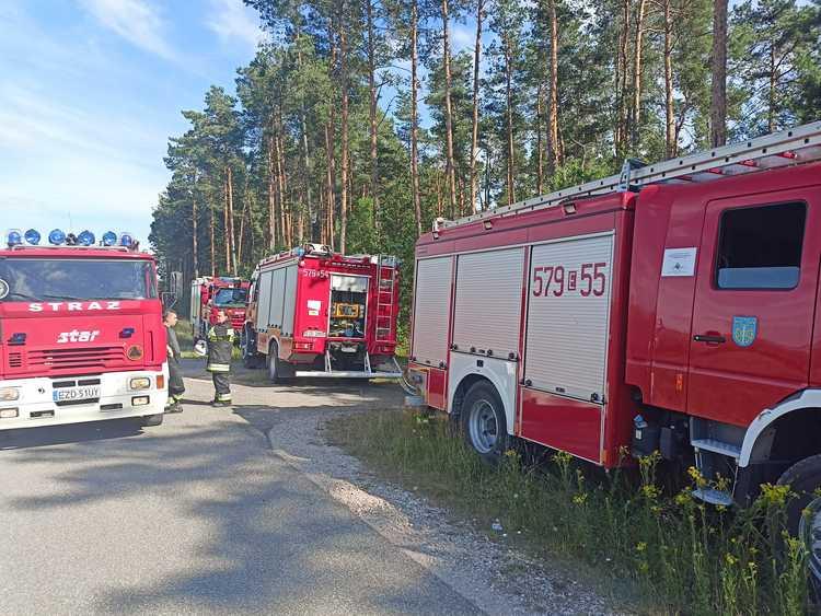 Pożar lasu w powiecie zduńskowolskim. Doszło do podpalenia? 1 80229 aa3f817a85a5824214d1482ed918c877