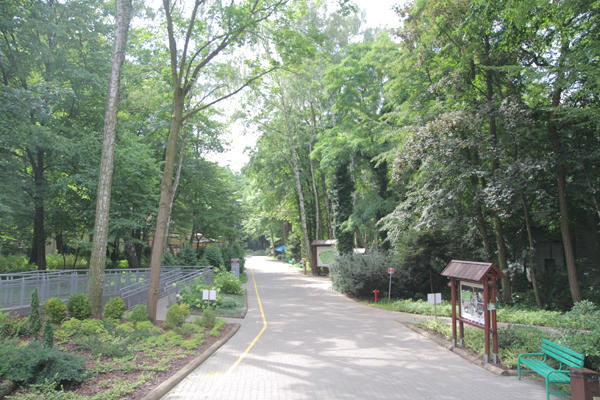 Przebudowa łódzkiego ogrodu zoologicznego
