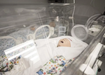 Centrum Symulacji Medycznych | Szkiełko i oko