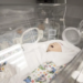 Centrum Symulacji Medycznych | Szkiełko i oko 6 Centrum Symulacji Medycznych | Szkiełko i oko