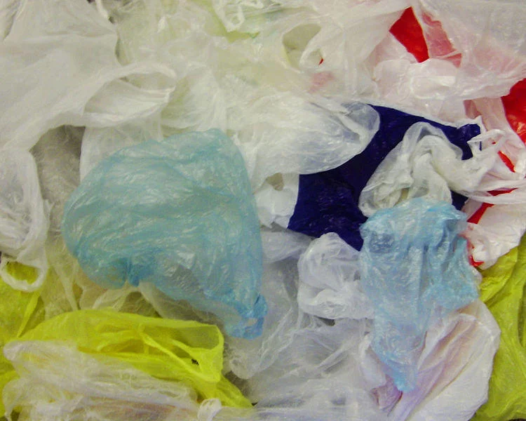 Co zamiast folii i plastiku? | Szkiełko i oko 1 Co zamiast folii i plastiku? | Szkiełko i oko