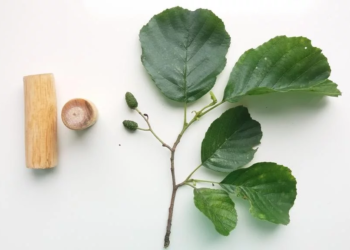 Na pograniczu biologii, ekologii i antropologii | Szkiełko i oko