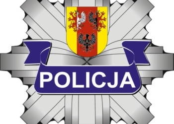 Zajmą się sprawą zniszczonego pomnika Bitwy pod Ewiną
