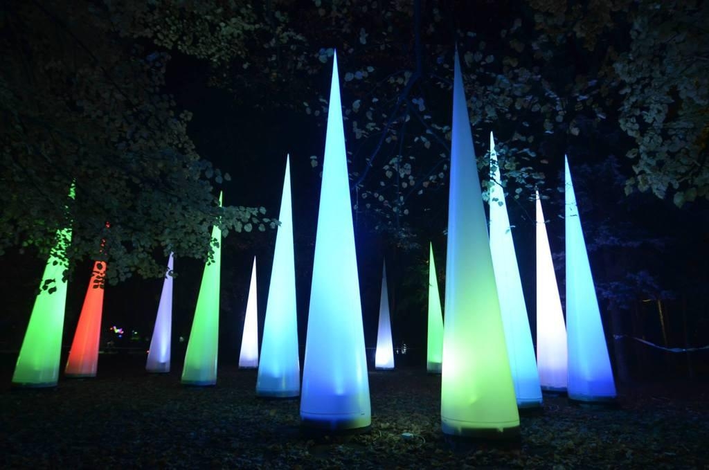 „Light. Move. Festival. 2013”. Zobacz zdjęcia rozświetlonej Łodzi