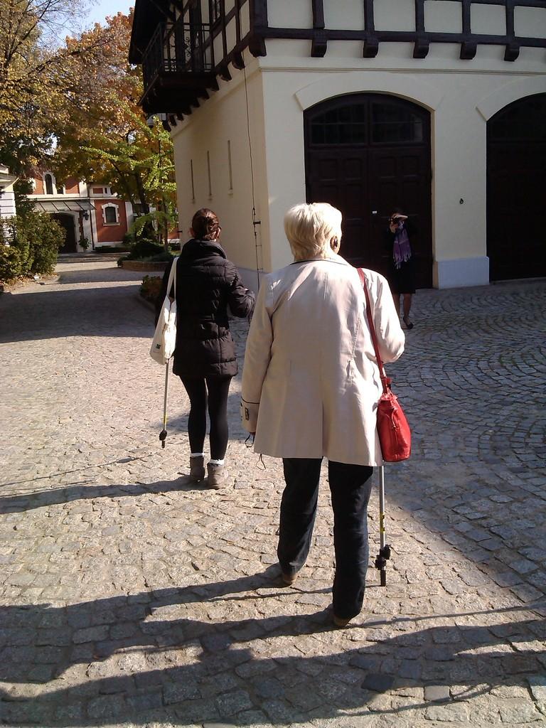 Sztuki wizualne dla niewidomych w łódzkim Pałacu Herbsta 2 systemdlaniewidomych1