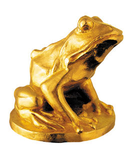 camerimage logo