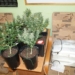 Policjanci zlikwidowali uprawę marihuany