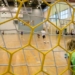 Dzień Sportu na Uniwersytecie Łódzkim
