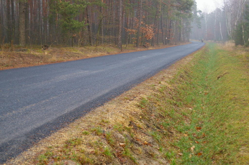Wycinka drzew w Radomsku. Starosta odpiera zarzuty 1 Wycinka drzew w Radomsku. Starosta odpiera zarzuty