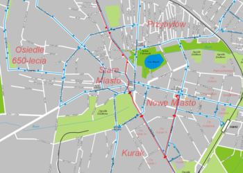 Zgierscy gapowicze winni miastu 7 milionów