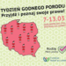 Poród w szpitalu, a może poród domowy? 6 Poród w szpitalu, a może poród domowy?