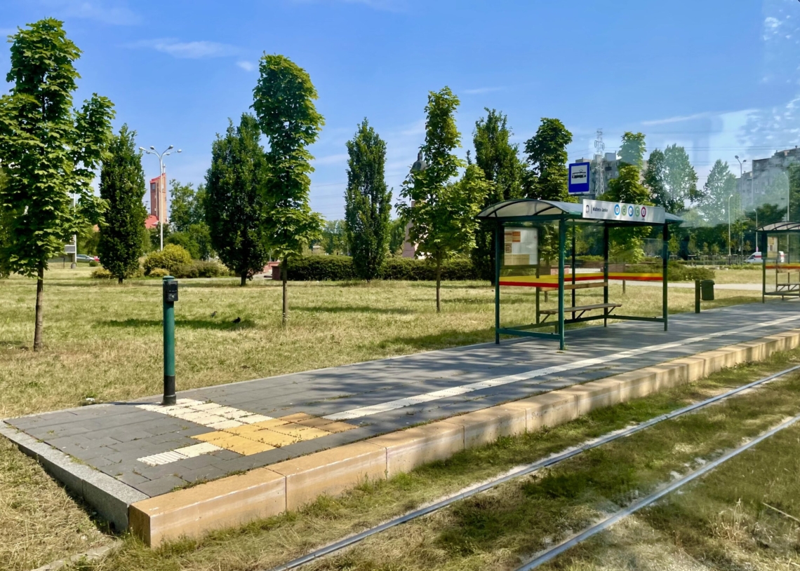Łódzkie przystanki się zazielenią do 30 listopada