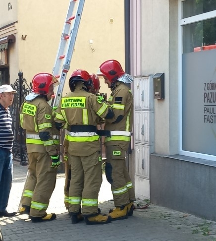 Skierniewiccy strażacy ratowali uwięzionego jerzyka