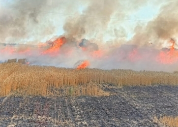 Pożary zbóż w powiecie wieluńskim