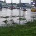 Zalany Wieluń