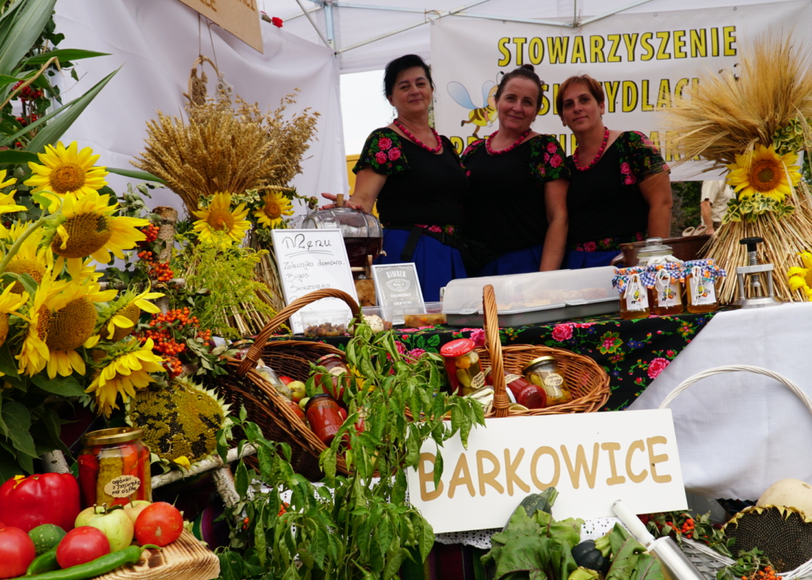 Dożynki Wojewódzkie w Radomsku