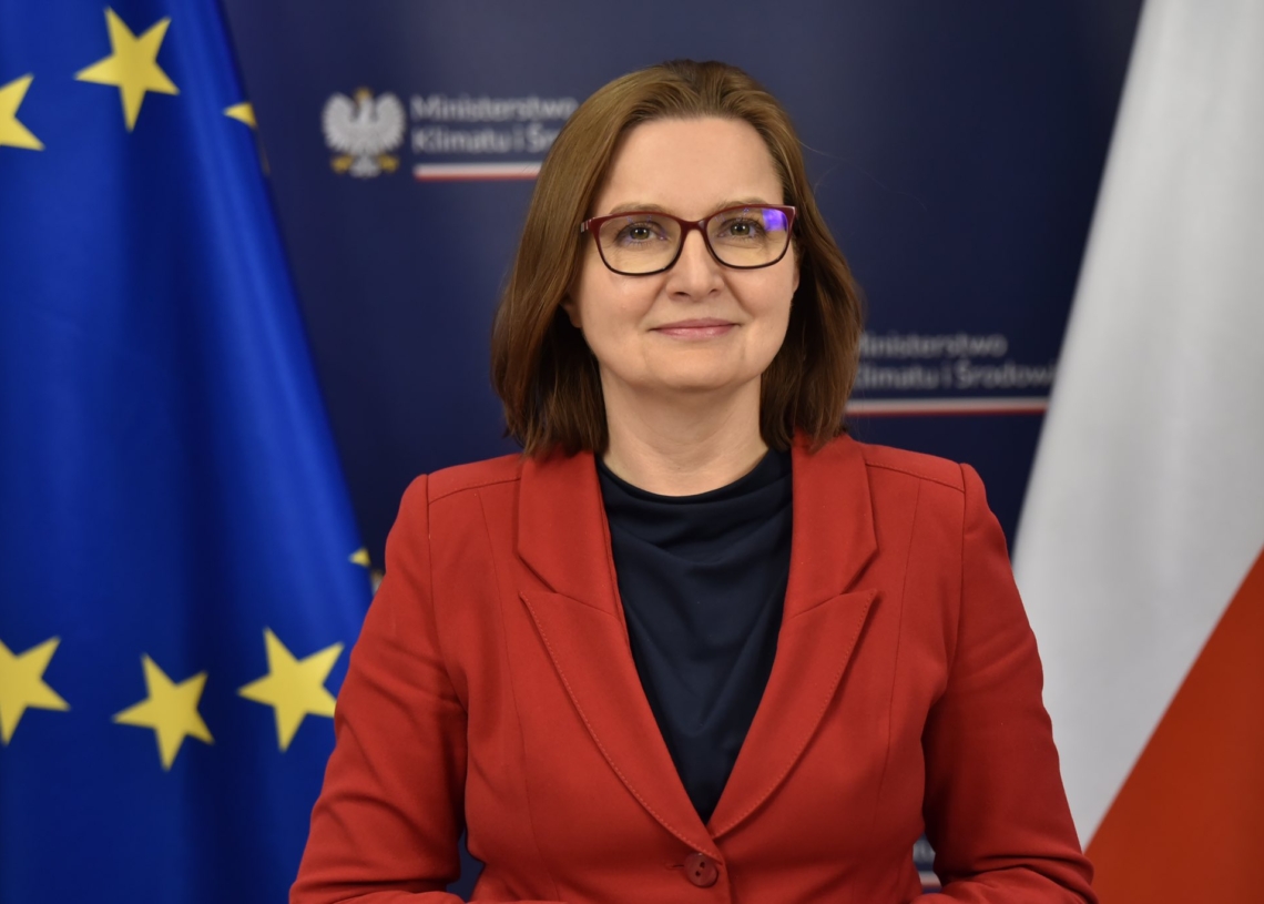 Podwyżki cen prądu, Zielony Ład i transformacja energetyczna. Rozmowa z wiceministrą Anitą Sowińską 1 Gość po 8