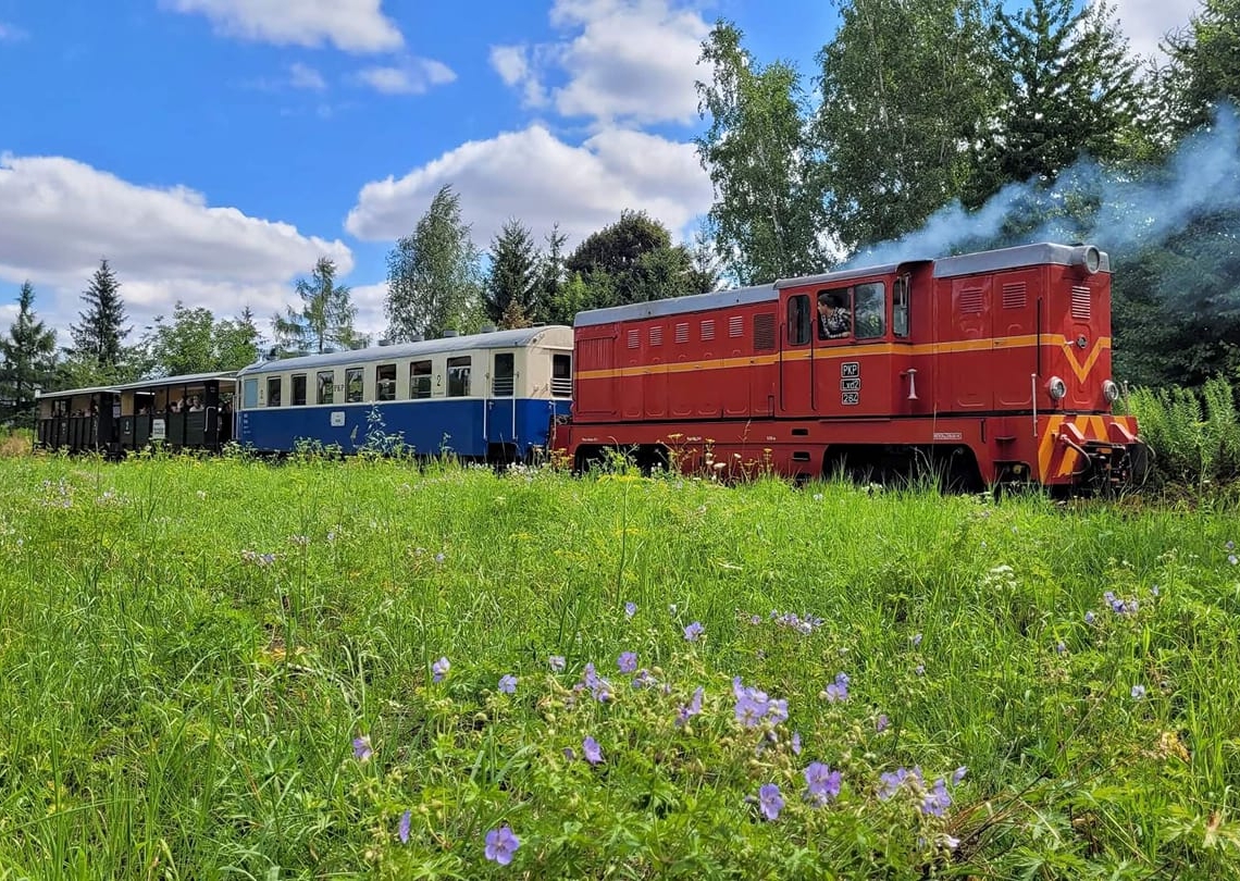 Rogowska Kolej Wąskotorowa