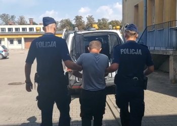 Recydywista z Opolskiego zatrzymany w Kutnie