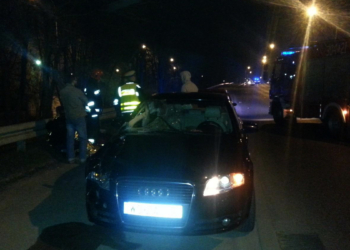 Śmiertelny wypadek na Przybyszewskiego w Łodzi