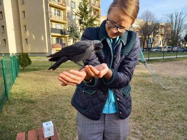 Sieradzka kawka