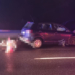 Auto potrąciło łosia w Rzgowie