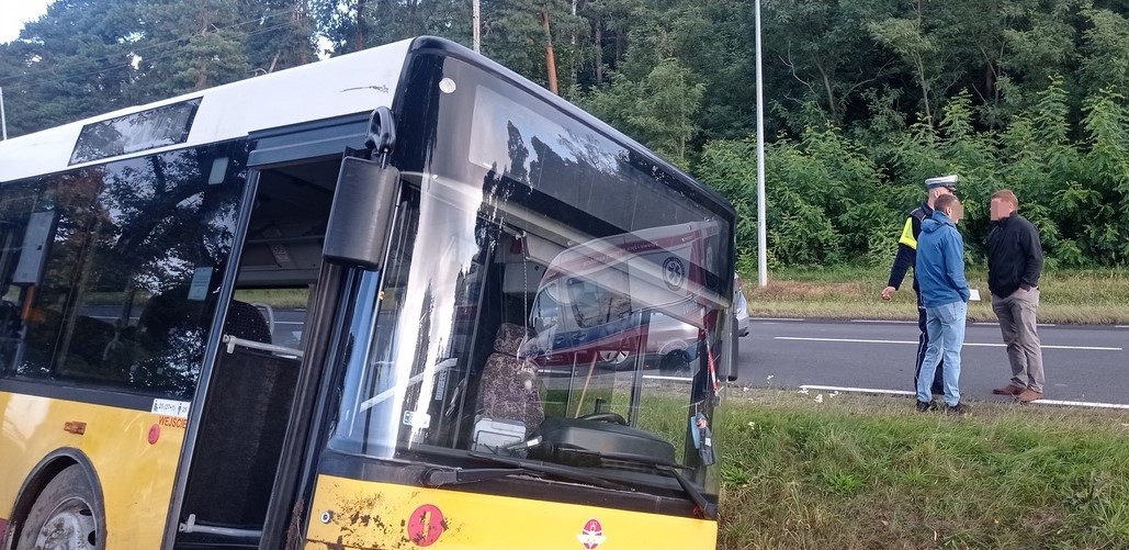 Autobus w rowie