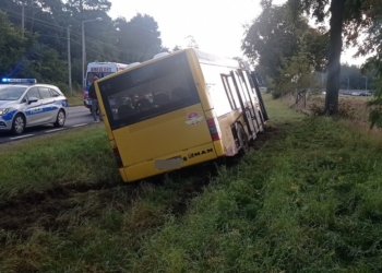 Autobus w rowie