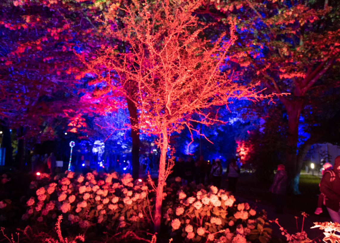 Light Move Festival 2022