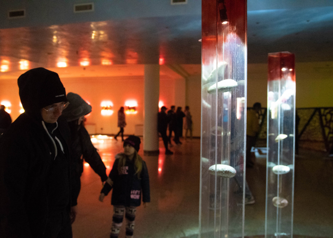 Light Move Festival 2022