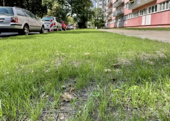 Zielony parking na Teofilowie