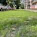 Wkrótce zielony parking na Teofilowie będzie gotowy. Budowa 51 miejsc rozpoczęła się w lipcu 7 Zielony parking na Teofilowie