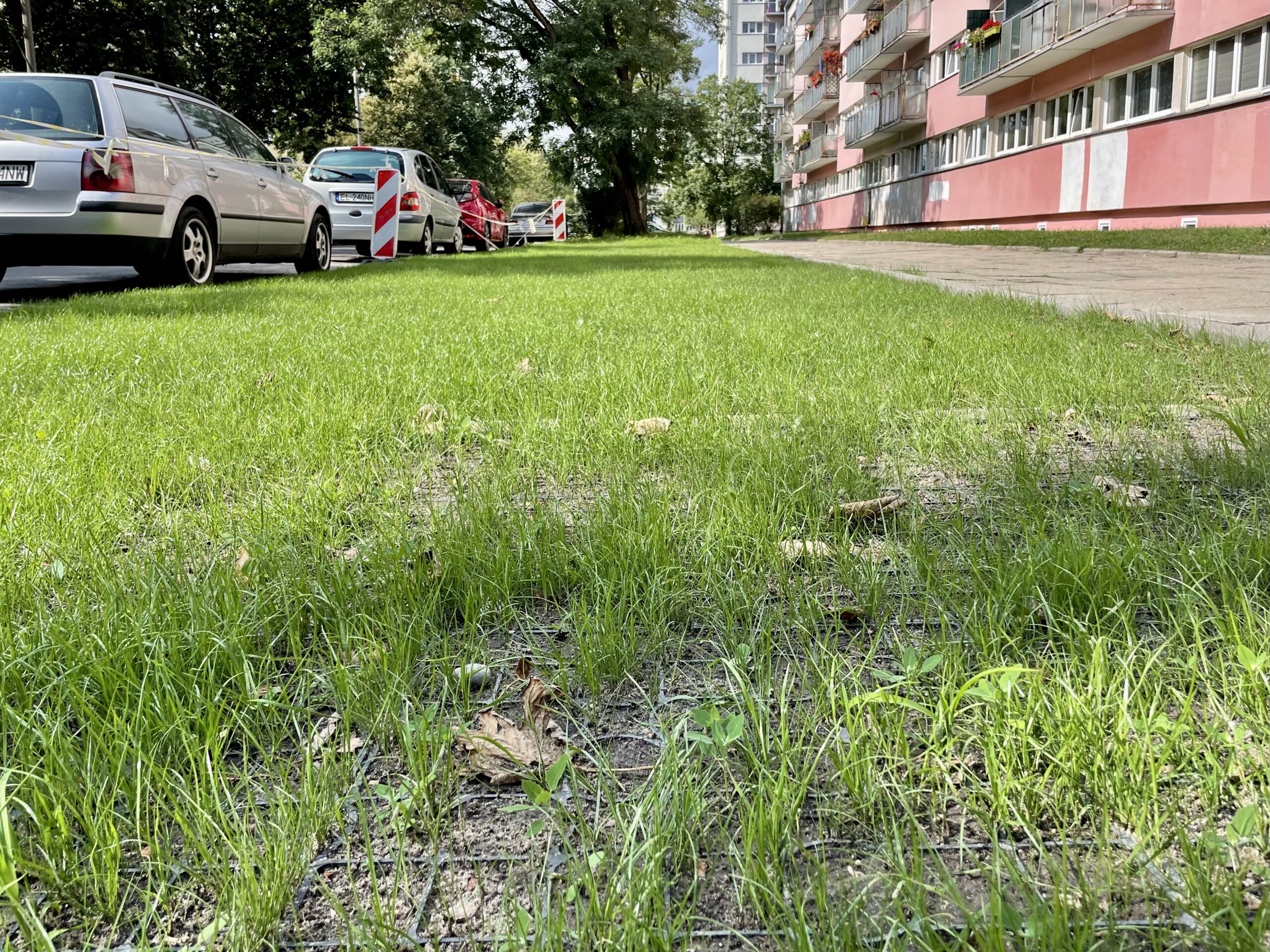 Zielony parking na Teofilowie