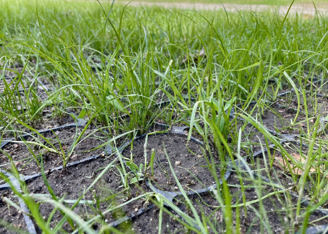 Wkrótce zielony parking na Teofilowie będzie gotowy. Budowa 51 miejsc rozpoczęła się w lipcu