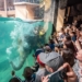 Kąpiele słoni i tłumy w łódzkim Orientarium