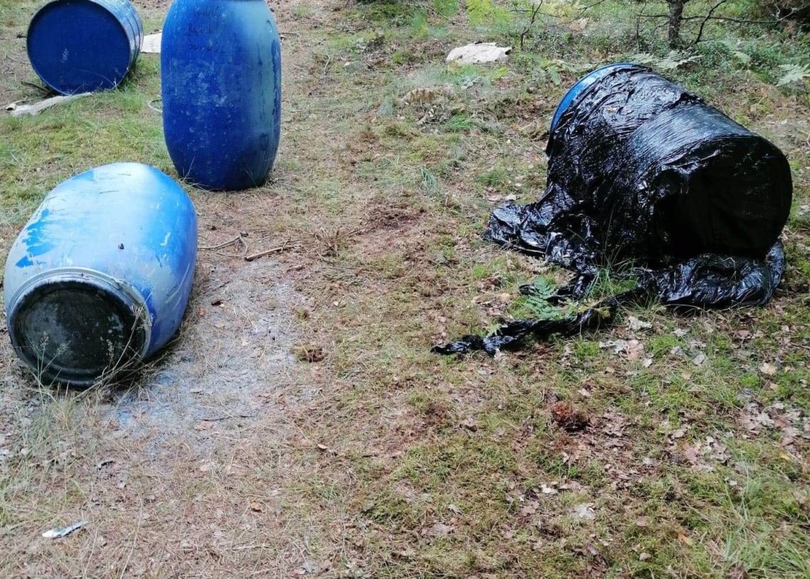 Wywóz odpadów z lasu pod Wieluniem