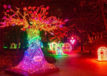 Park Miliona Świateł w Łodzi
