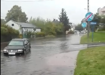 Zalana Polna w Piotrkowie
