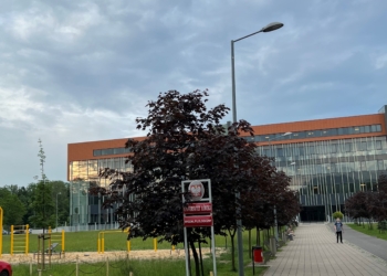 Międzynarodowy Dzień Języka Ojczystego