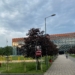 Międzynarodowy Dzień Języka Ojczystego