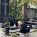 Sprzątanie pomników na Starym Cmentarzu w Łodzi. Uczniowie porządkowali groby żołnierzy 6 Sprzątanie pomników na Starym Cmentarzu w Łodzi. Uczniowie porządkowali groby żołnierzy