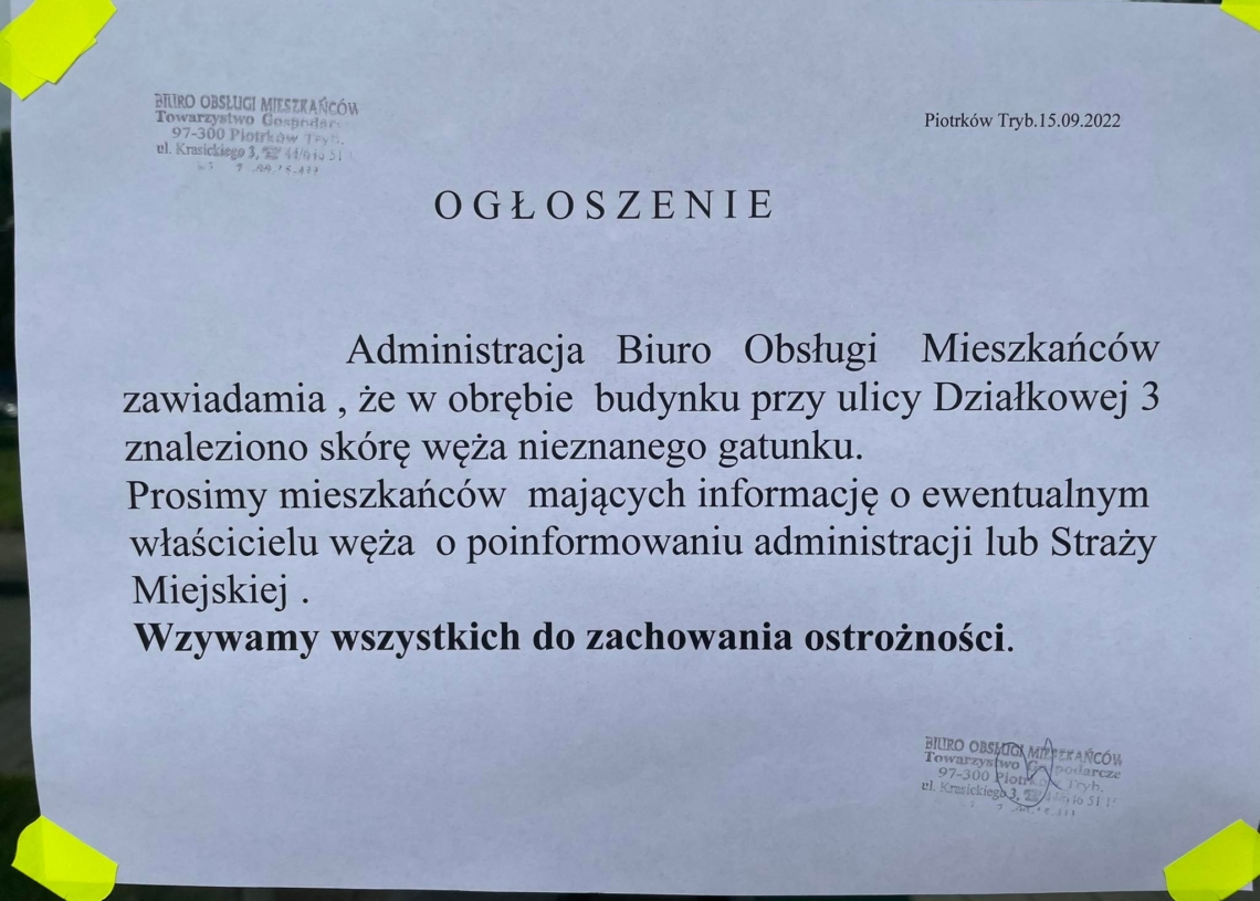 Wylinkę węża znaleziono na piotrkowskim osiedlu