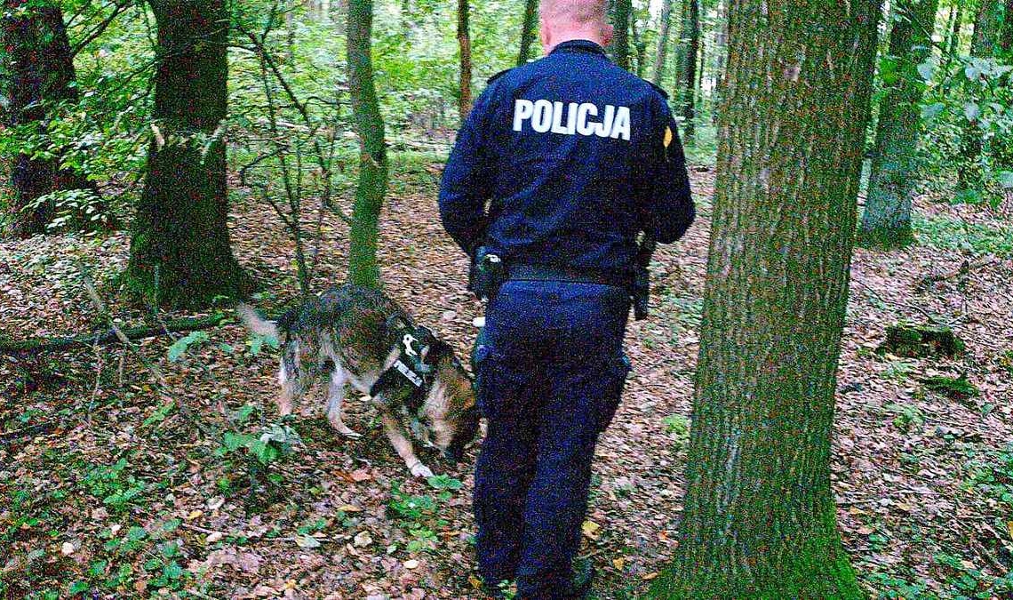 Bezpieczne grzybobranie 2022. Policja apeluje o rozwagę i dobre przygotowanie do leśnych spacerów 1 Bezpieczne grzybobranie 2022. Poszukiwania grzybiarza w lesie