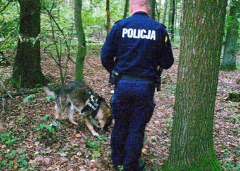 Bezpieczne grzybobranie 2022. Poszukiwania grzybiarza w lesie