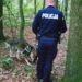Bezpieczne grzybobranie 2022. Policja apeluje o rozwagę i dobre przygotowanie do leśnych spacerów 8 Bezpieczne grzybobranie 2022. Poszukiwania grzybiarza w lesie