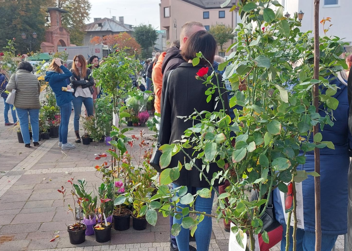 Festiwal recyklingu w Sieradzu