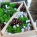 Rozpoczyna się XVIII Festiwal Recyklingu w Sieradzu 6 Festiwal recyklingu w Sieradzu