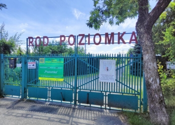 Akt oskarżenia przeciwko mężczyźnie, któremu zarzucono znęcanie się nad kotem